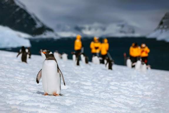 Antarctic Peninsula