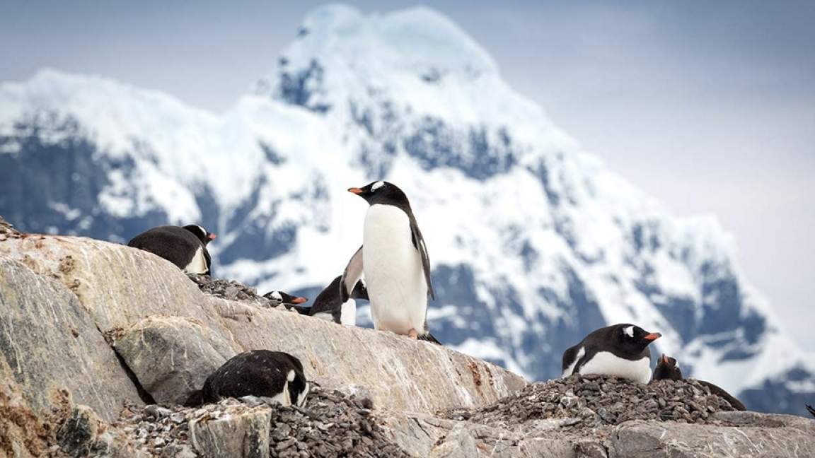 Antarctic Express: Crossing the Circle Antarctic Express: Crossing the Circle