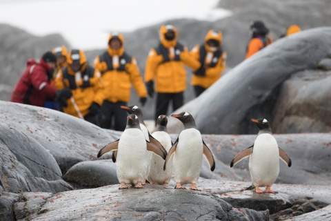 Antarctic Peninsula