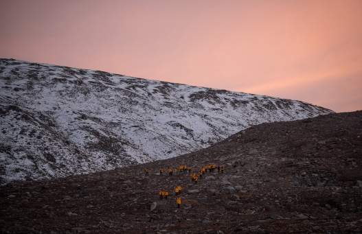 Quark passengers pictured hiking at Sunneshine Fjord, Baffin Island. Photo by Acacia Johnson