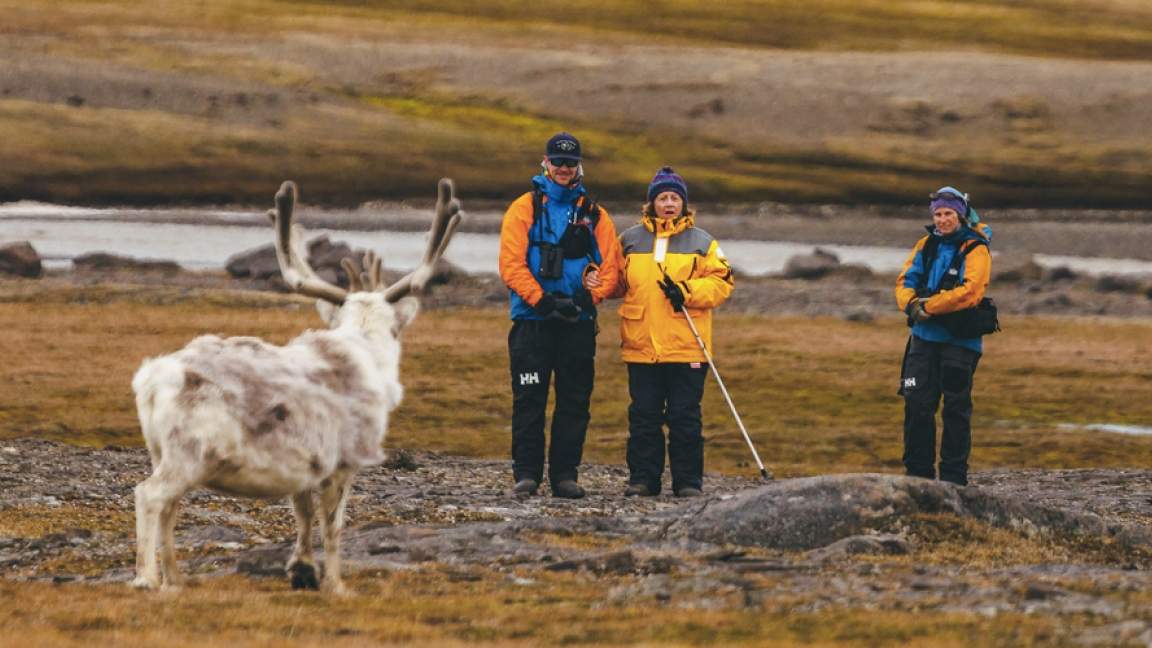 Three Arctic Islands: Iceland, Greenland, Spitsbergen Three Arctic Islands: Iceland, Greenland, Spitsbergen